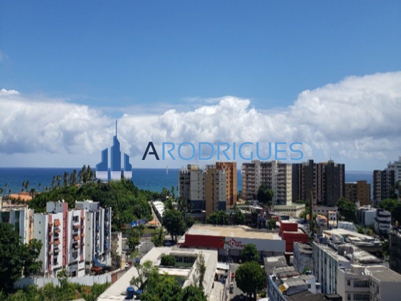 Cobertura, 3 quartos, 250 m² - Foto 10