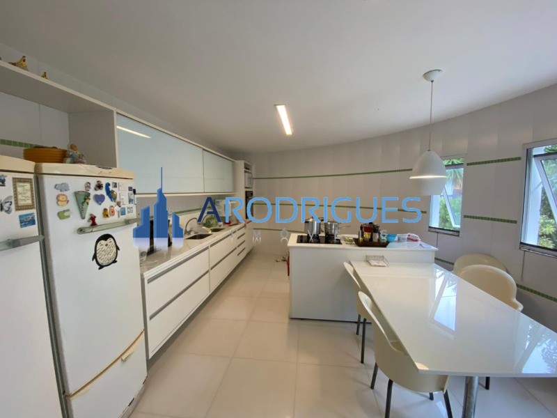Casa, 4 quartos, 900 m² - Foto 6