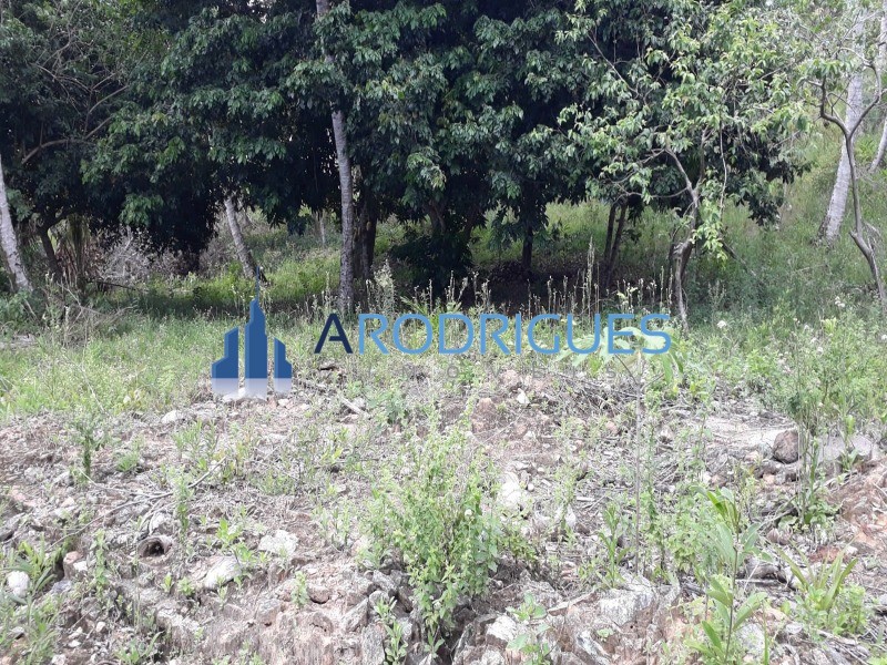 Terreno, 5 hectares - Foto 10