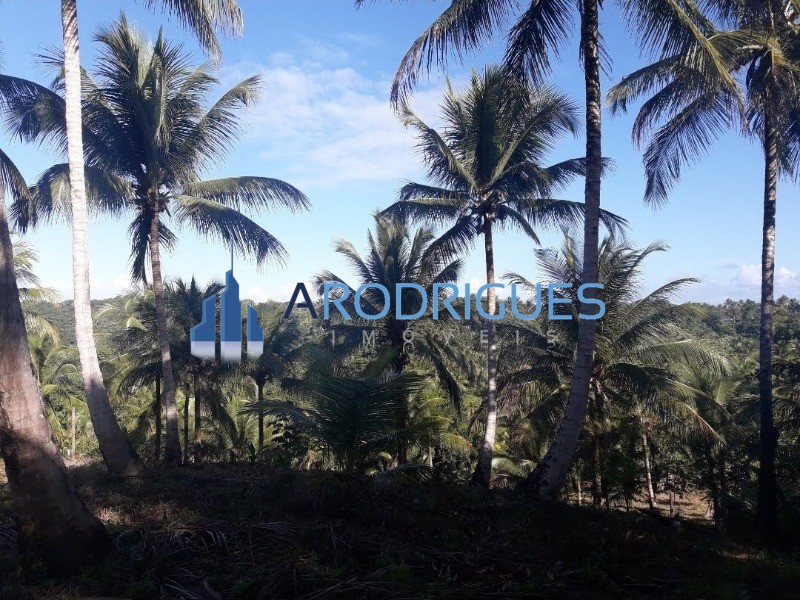Terreno, 5 hectares - Foto 12