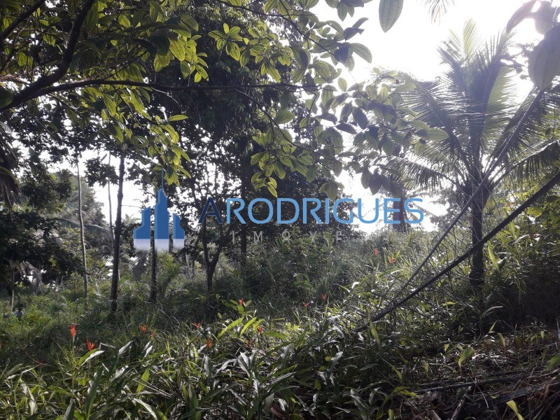 Terreno, 5 hectares - Foto 9