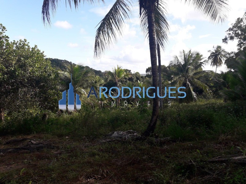 Terreno, 5 hectares - Foto 13