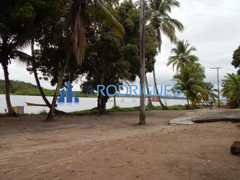 Terreno, 5 hectares - Foto 16