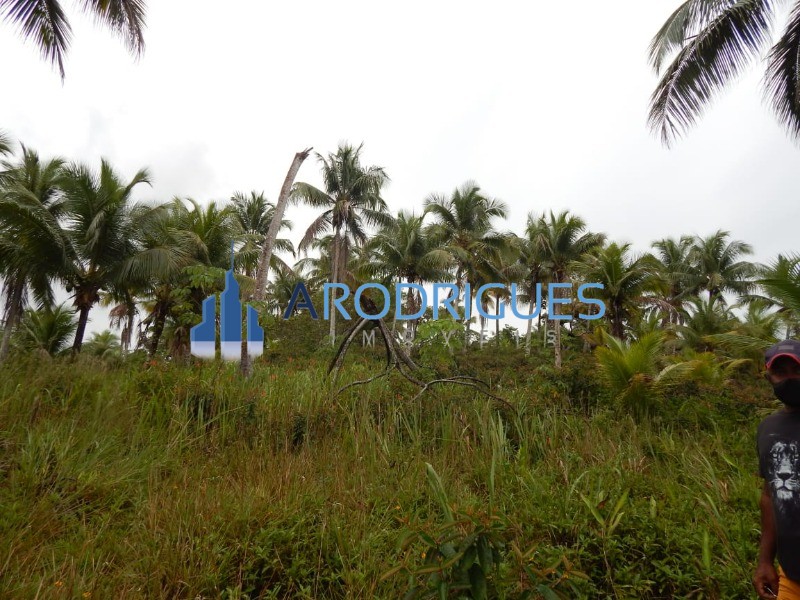 Terreno, 5 hectares - Foto 26