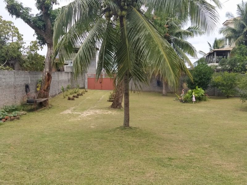 Chácara, 3 quartos, 3000 m² - Foto 2