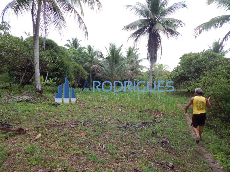 Terreno, 5 hectares - Foto 25