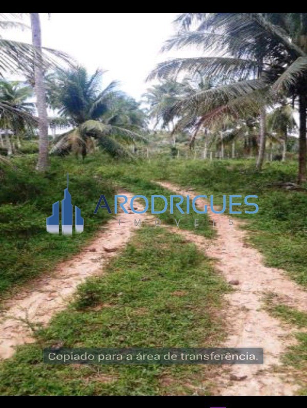 Fazenda, 84 hectares - Foto 3