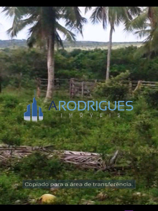Fazenda, 84 hectares - Foto 2