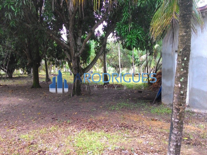 Fazenda, 84 hectares - Foto 8