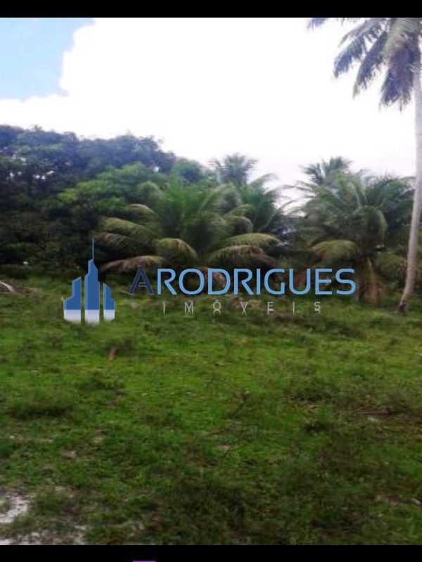 Fazenda, 84 hectares - Foto 18