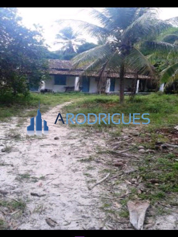Fazenda, 84 hectares - Foto 13