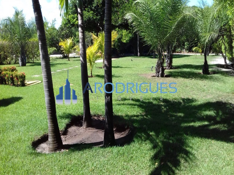 Casa, 3 quartos, 350 m² - Foto 11