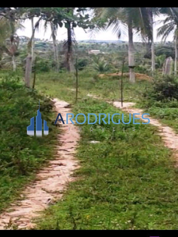 Fazenda, 84 hectares - Foto 19