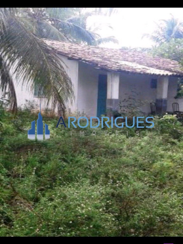 Fazenda, 84 hectares - Foto 14