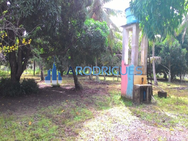 Fazenda, 84 hectares - Foto 11