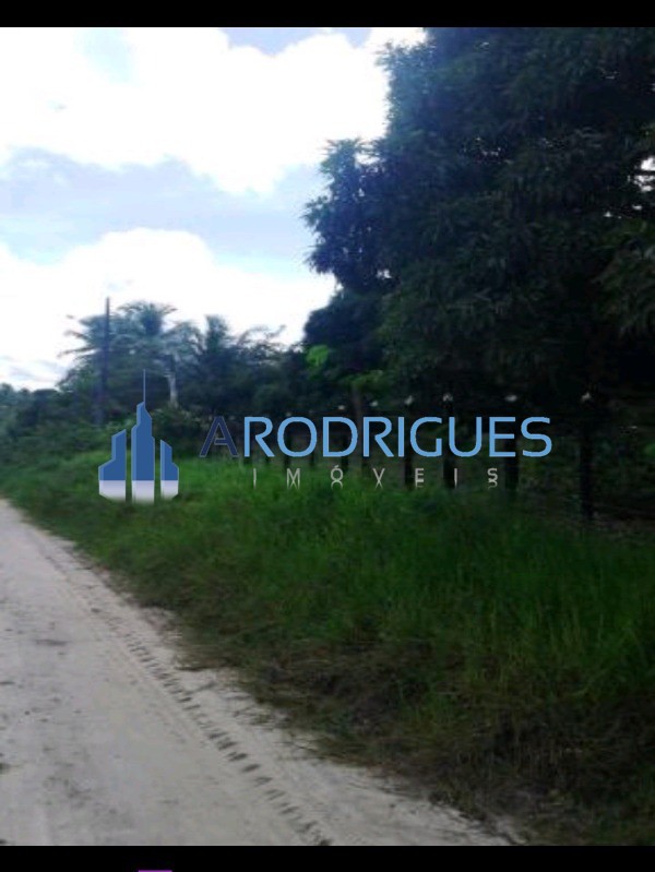 Fazenda, 84 hectares - Foto 6