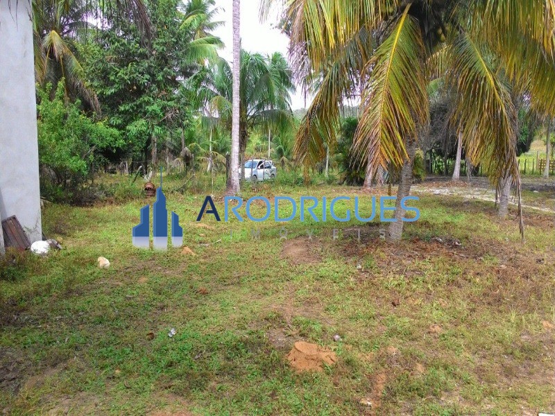 Fazenda, 84 hectares - Foto 20