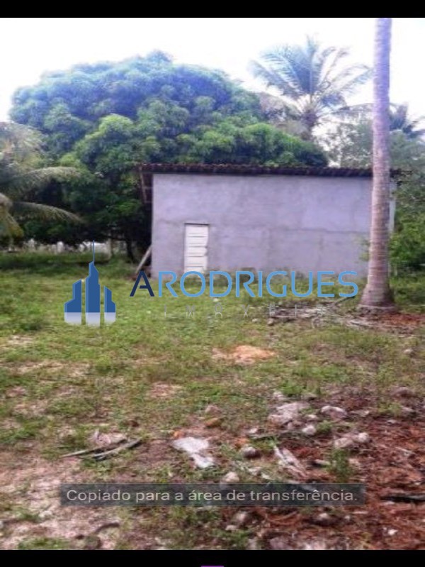Fazenda, 84 hectares - Foto 15