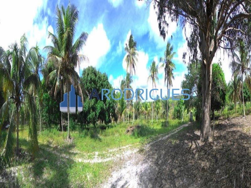 Fazenda, 84 hectares - Foto 1