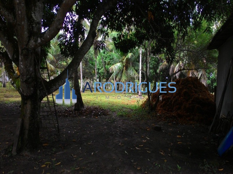 Fazenda, 84 hectares - Foto 17