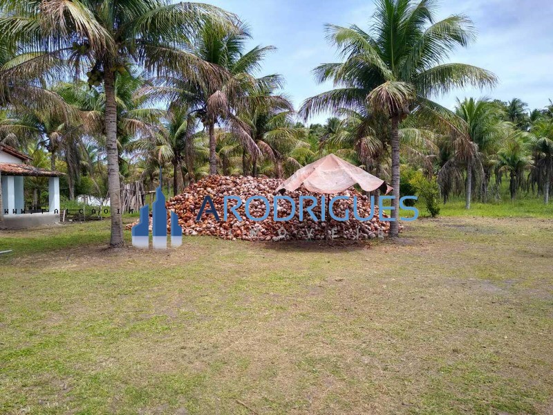Fazenda à venda em Conde-BA, bairro Conde: 4 quartos, 2 salas, 2 banheiros, 250.000m² de área. Venha conferir!
