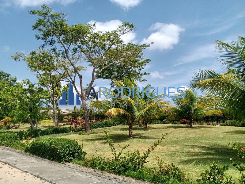 Terreno, 726 m² - Foto 10