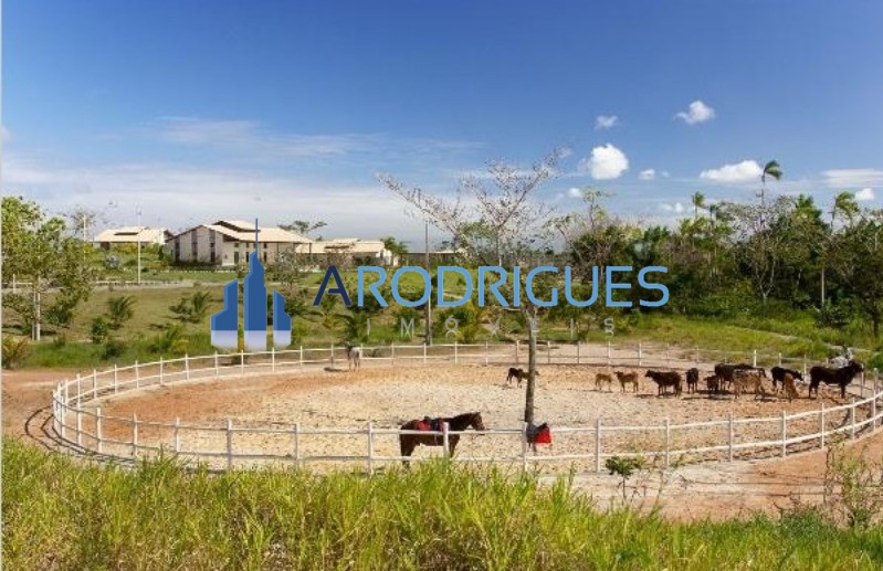 Terreno, 726 m² - Foto 6
