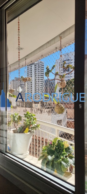 Apartamento, 3 quartos, 136 m² - Foto 23