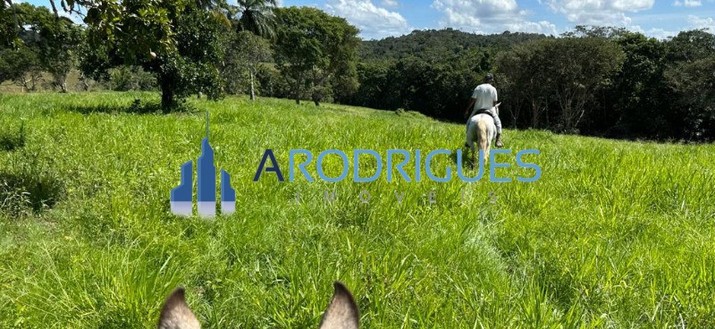 Fazenda, 5 quartos - Foto 28