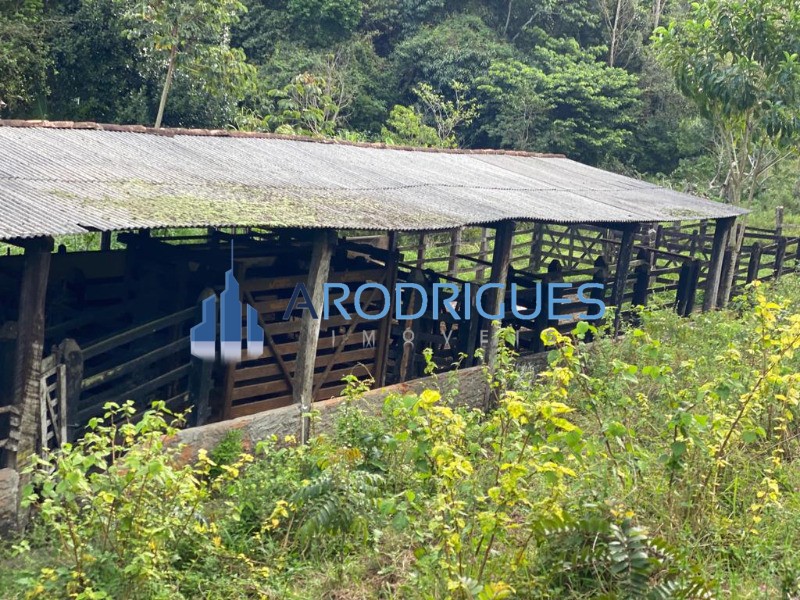 Fazenda, 5 quartos - Foto 21