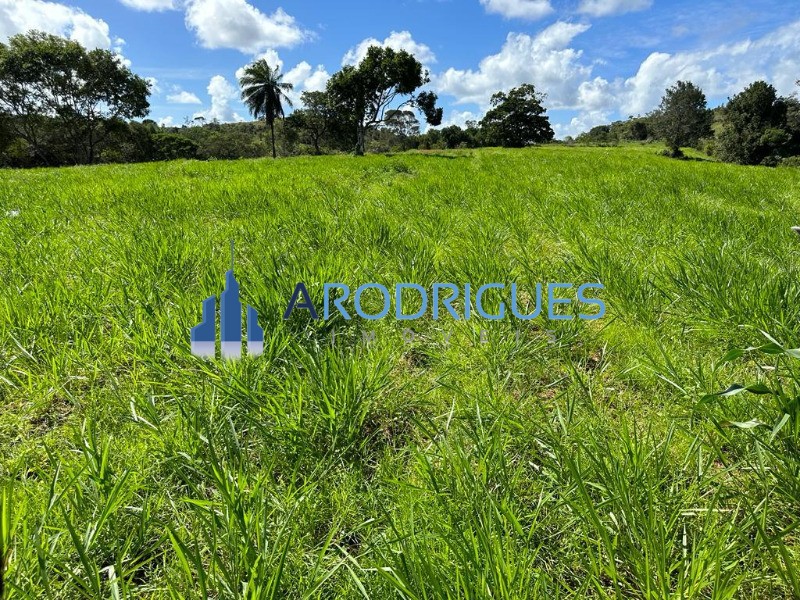 Fazenda, 5 quartos - Foto 24