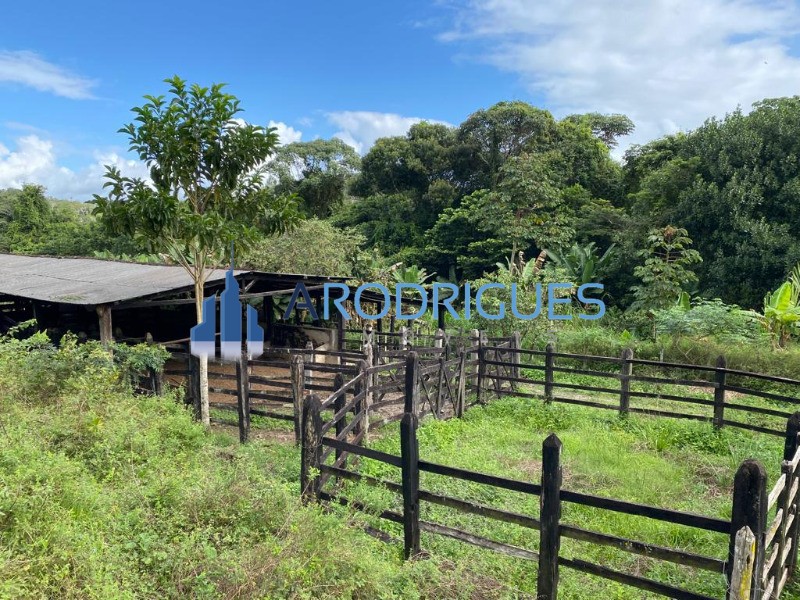 Fazenda, 5 quartos - Foto 18