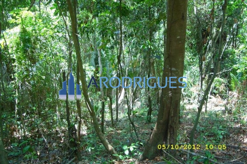 Terreno, 33271 hectares - Foto 3