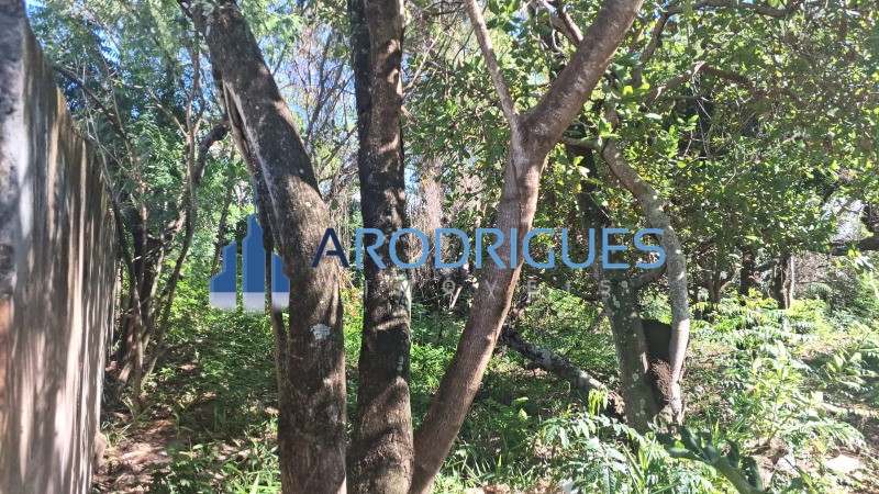 Terreno à venda em Camaçari-BA, Itacimirim (Monte Gordo) com 5.200m² de área. Venha conferir!