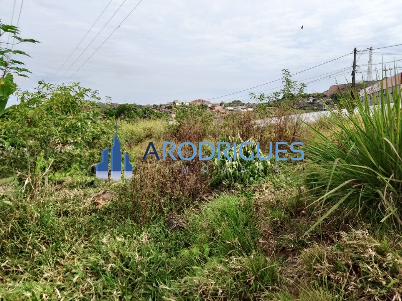 Loteamento e Condomínio, 1 hectares - Foto 4