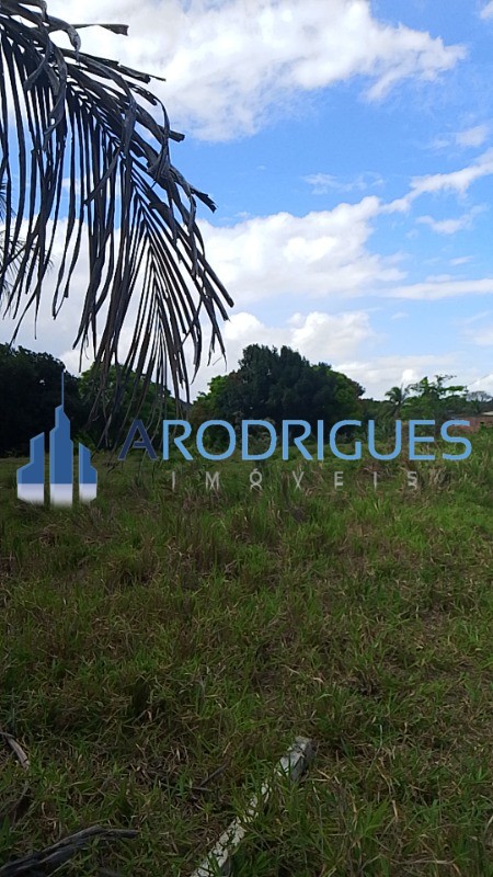 Loteamento e Condomínio, 1 hectares - Foto 3
