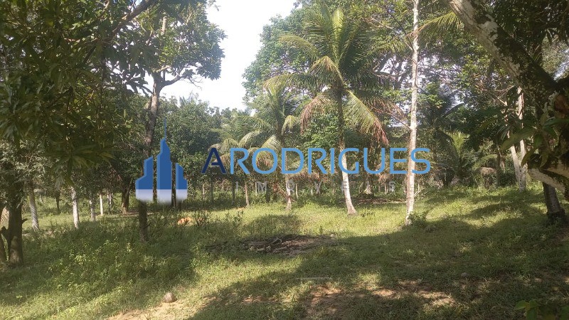 Fazenda, 3 quartos - Foto 15