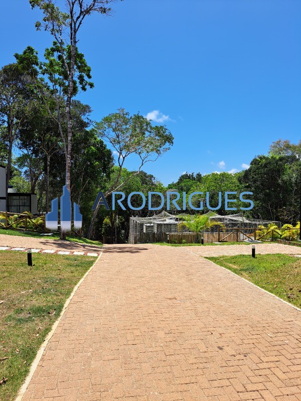 Casa, 3 quartos, 321 m² - Foto 14