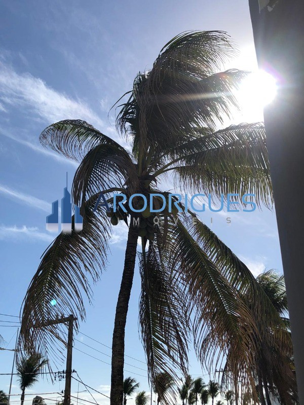Prédio Inteiro, 455 m² - Foto 18