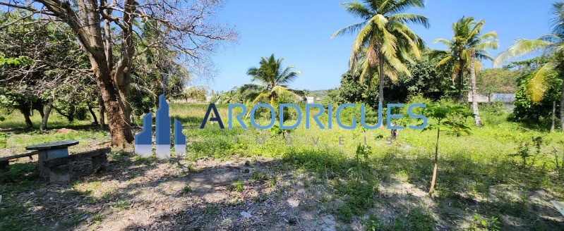 Sítio, 2 quartos, 250 m² - Foto 17