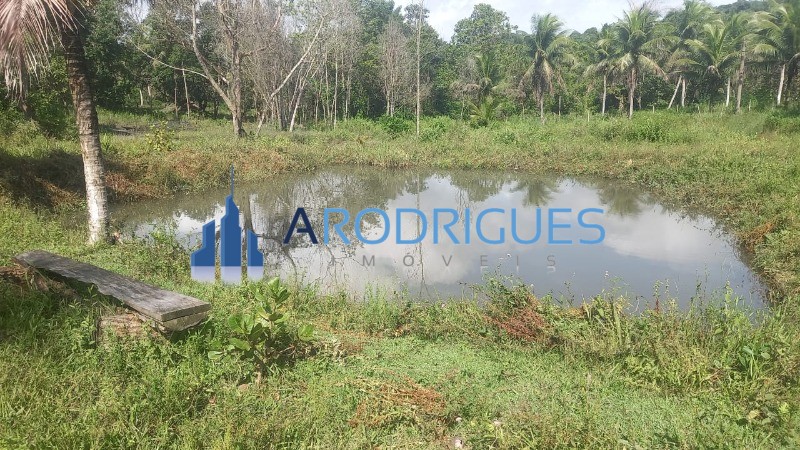Fazenda, 3 quartos - Foto 6