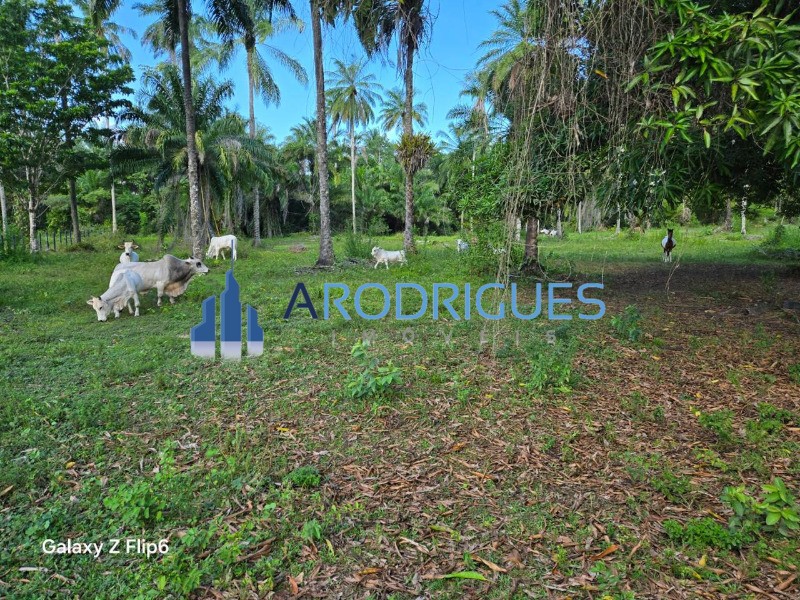 Fazenda, 8 quartos - Foto 6