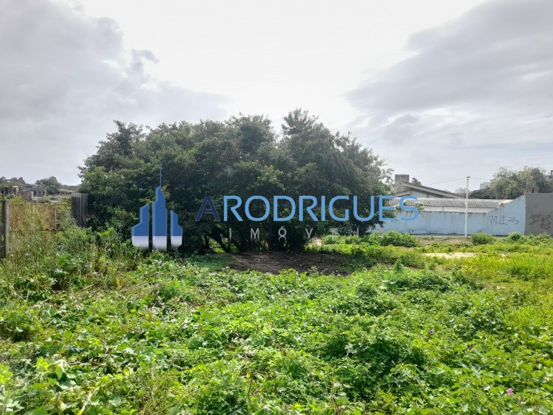 Terreno, 2637 m² - Foto 4