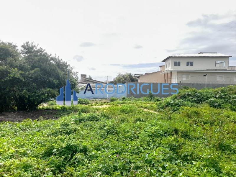 Terreno, 2637 m² - Foto 5