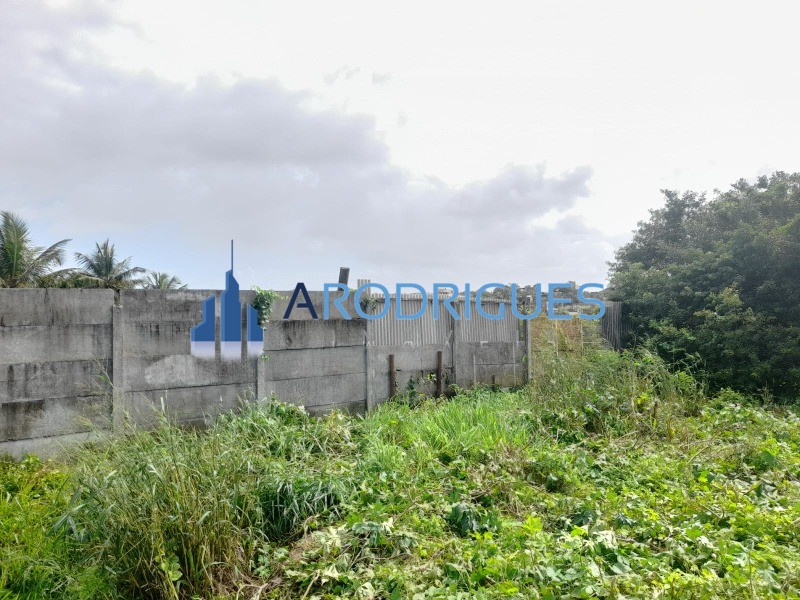 Terreno, 2637 m² - Foto 10