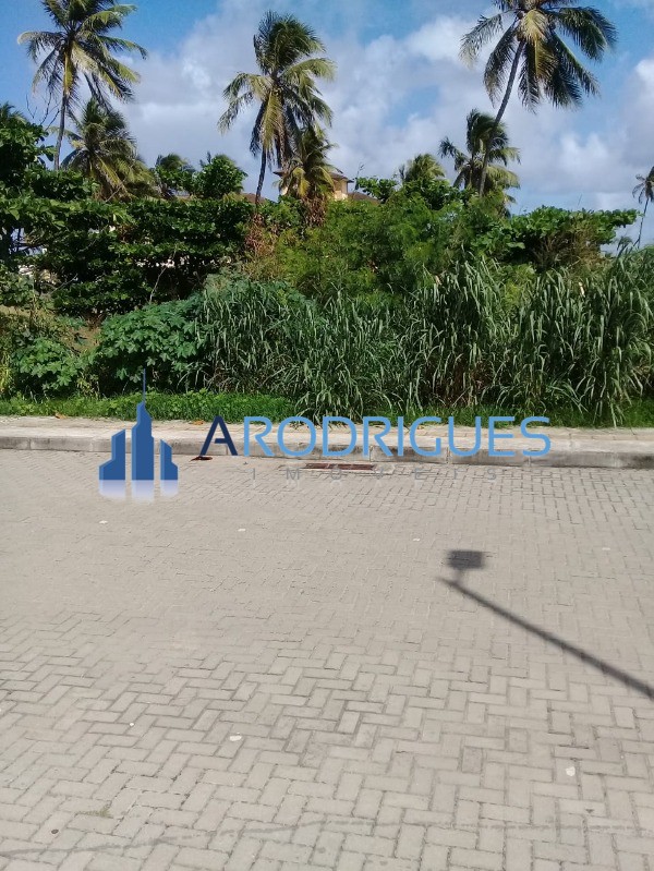 Terreno, 560 m² - Foto 4