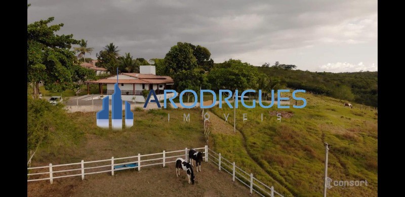 Sítio, 4 quartos, 60200 m² - Foto 1