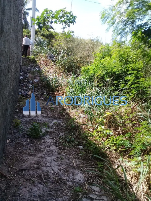 Terreno, 560 m² - Foto 5