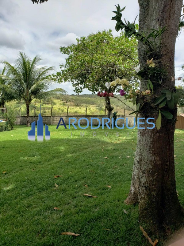 Sítio, 4 quartos, 60200 m² - Foto 13