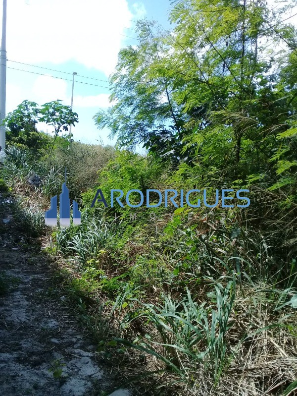 Terreno, 560 m² - Foto 9